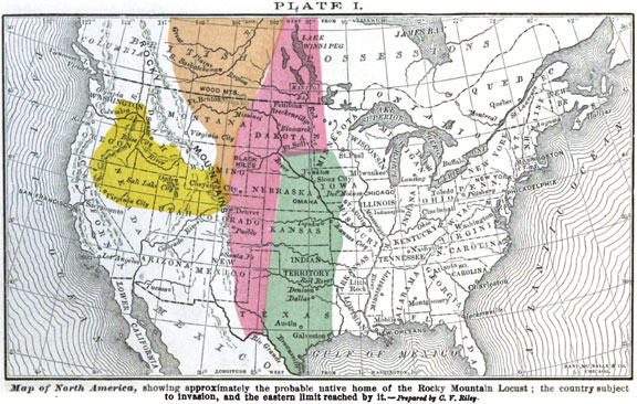1875 Locust Plague.jpg